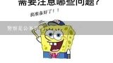 警察是公务员吗,警察算公务员吗