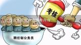 江苏公务员政审查哪些内容,公务员政审档案审核什么内容？