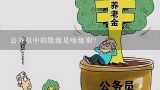 公务员中的股级是啥级别?公务员正股级是什么级别？