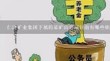 仁济矿业集团下属的某矿山公司目前有哪些职能部门?