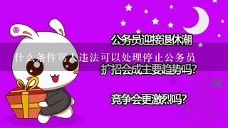 什么条件骂人违法可以处理停止公务员