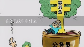 公务员政审审什么