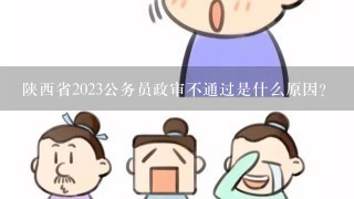 陕西省2023公务员政审不通过是什么原因？
