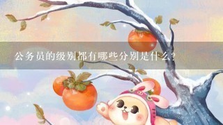 公务员的级别都有哪些分别是什么？