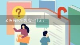 公务员政审到底审什么？