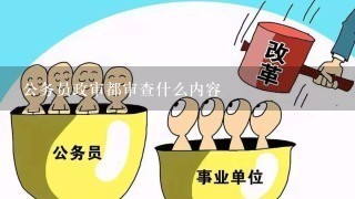 公务员政审都审查什么内容