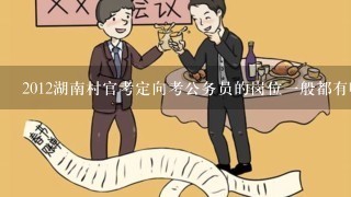 2012湖南村官考定向考公务员的岗位1般都有哪些呢