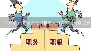 2020保山公务员考试报名入口在哪里可以查看？