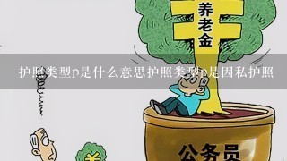 护照类型p是什么意思护照类型p是因私护照