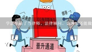 学法学除了当律师，法律顾问，公务员还能做什么