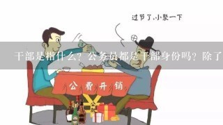 干部是指什么？公务员都是干部身份吗？除了公务员外还有哪些是干部身份的？