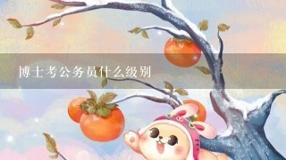 博士考公务员什么级别