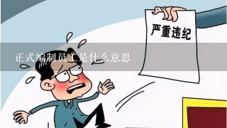 正式编制员工是什么意思