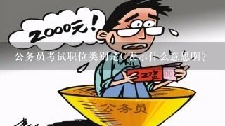 公务员考试职位类别是C表示什么意思啊?