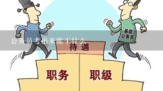 公务员考出来能干什么