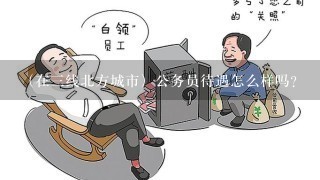 （在3线北方城市）公务员待遇怎么样吗？