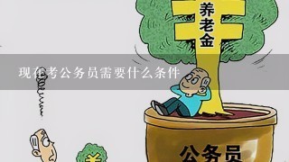 现在考公务员需要什么条件