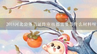 2018河北公务员证件审核都需要带什么材料呀？