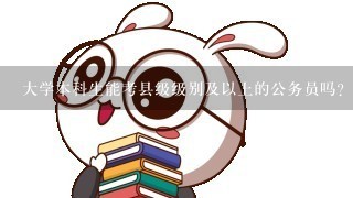 大学本科生能考县级级别及以上的公务员吗？